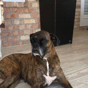 Meet your Posher, Greg